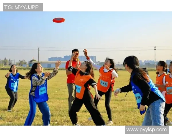 重庆飞盘队个人能力分析与提升策略探讨