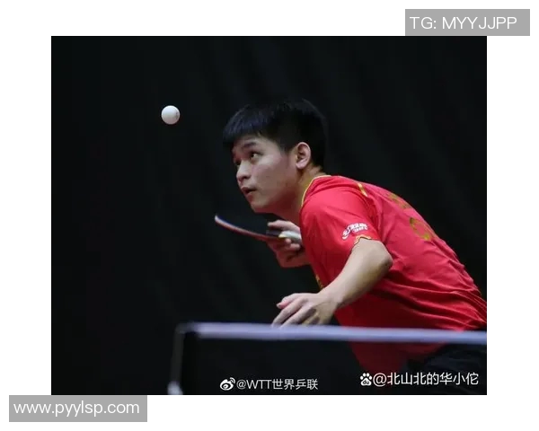 吴丽专访：从青涩小将到乒乓球传奇的成长之路回顾