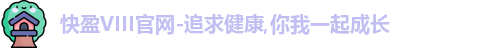 快盈VIII
